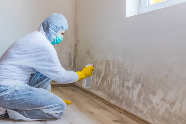 Licensed Mold Testing service in Richland, WA - WQB Mold Removal