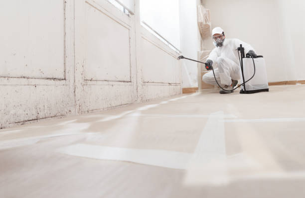 24/7 Emergency Mold Testing experts in Richland, WA