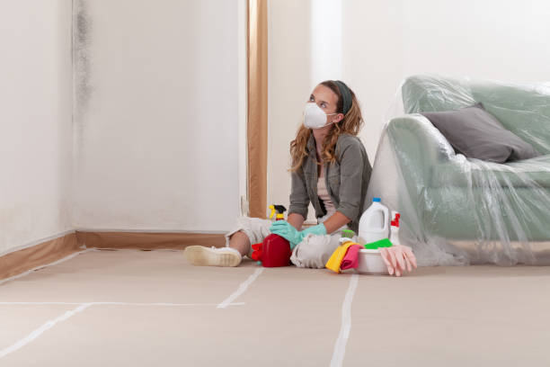 Reliable Mold Testing contractor in Richland, WA by WQB Mold Removal
